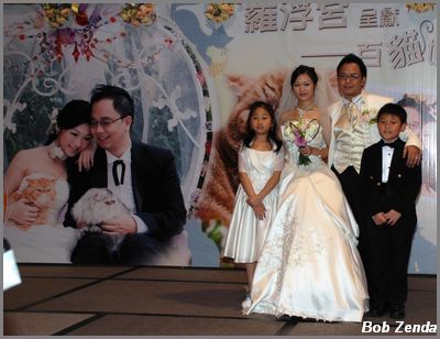 Hong Kong Style cat show wedding